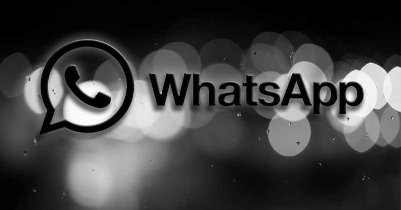 WhatsApp lanzará una actualización muy esperada | FRECUENCIA RO.