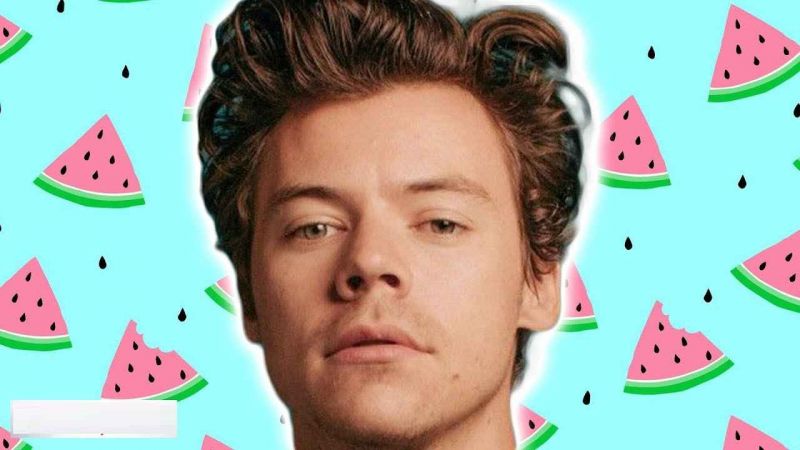 Harry Styles estrenÃ³ el video de “Watermelon sugar” | FRECUENCIA RíO.